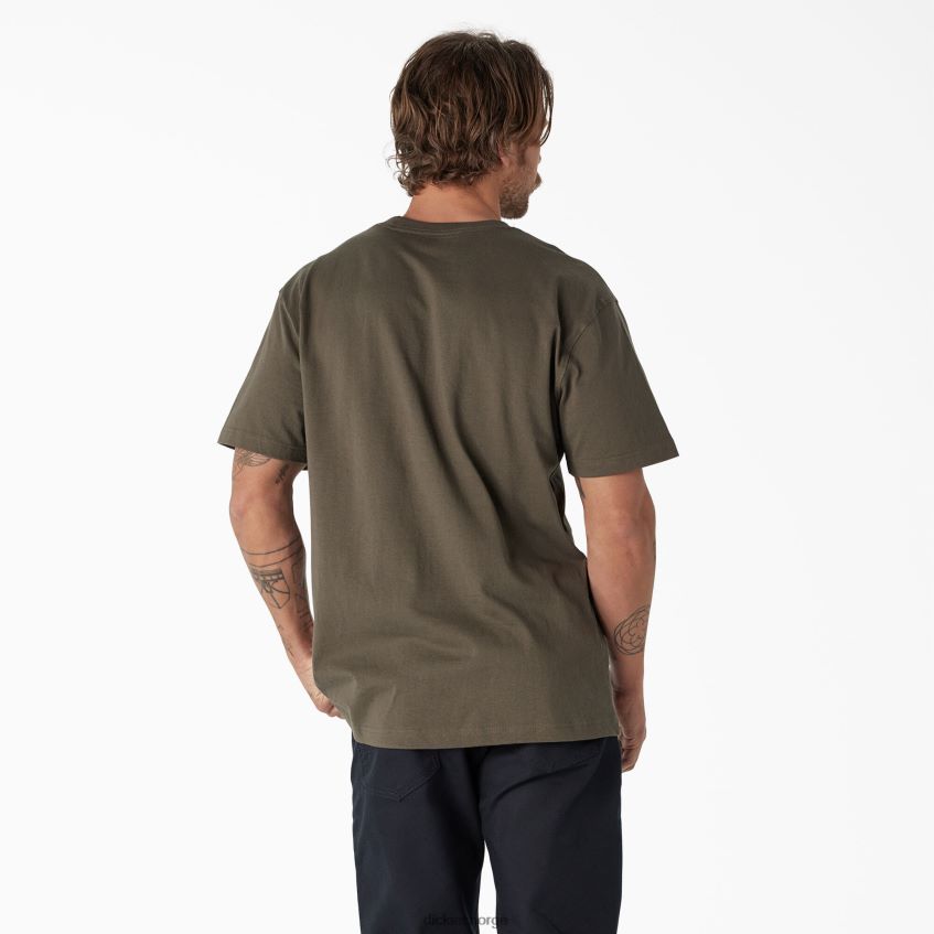 Dickies menn kortermet tungvekts logo t-skjorte 4NB6FR740 klær mosegrønn (ms)