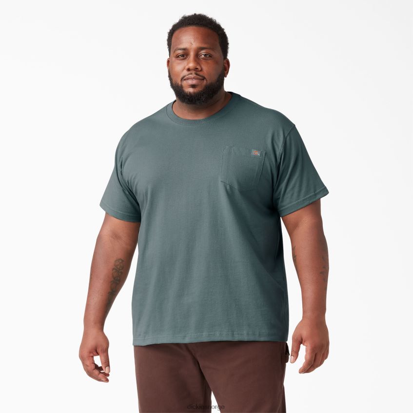 Dickies menn kortermet tungvekts t-skjorte 4NB6FR507 klær røykblå (bm)