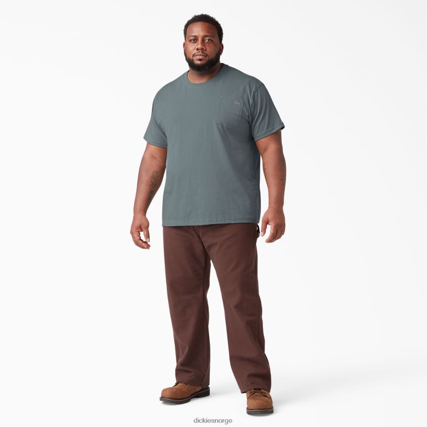 Dickies menn kortermet tungvekts t-skjorte 4NB6FR507 klær røykblå (bm)