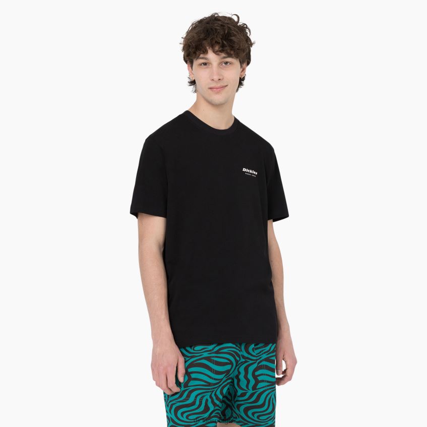 Dickies menn leesburg kortermet t-skjorte 4NB6FR876 klær svart (bkx)