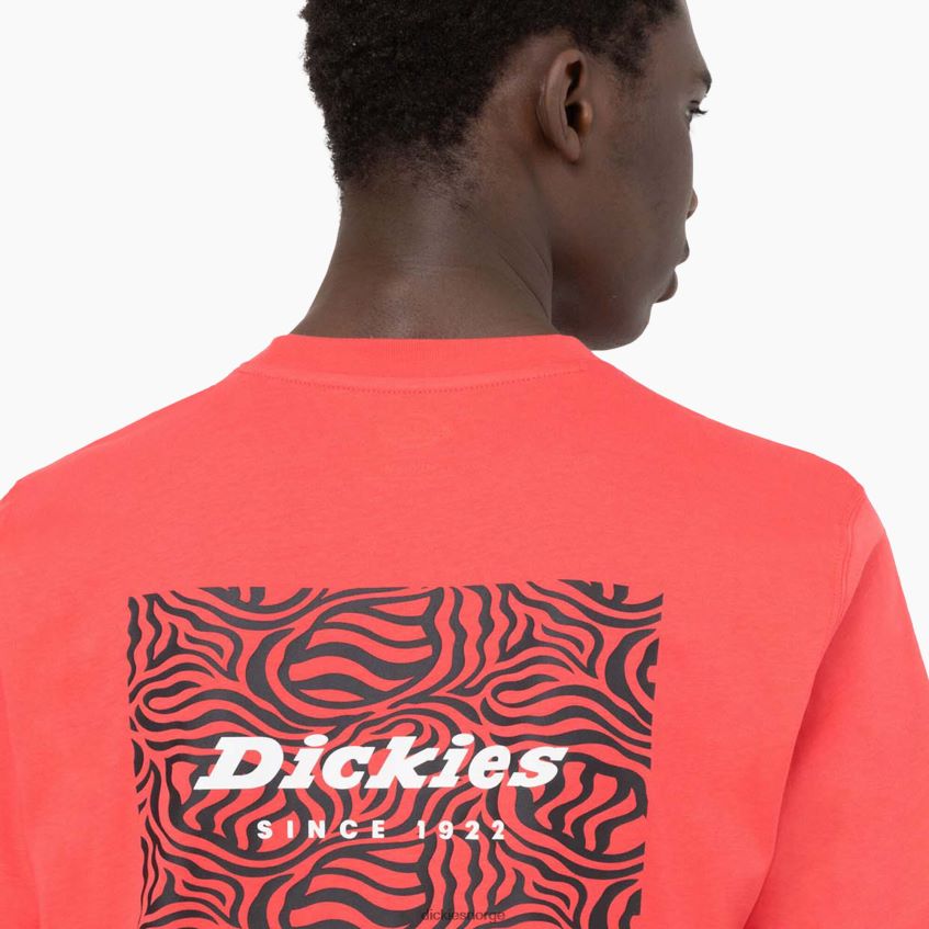 Dickies menn leesburg kortermet t-skjorte 4NB6FR877 klær bittersøt (bw2)