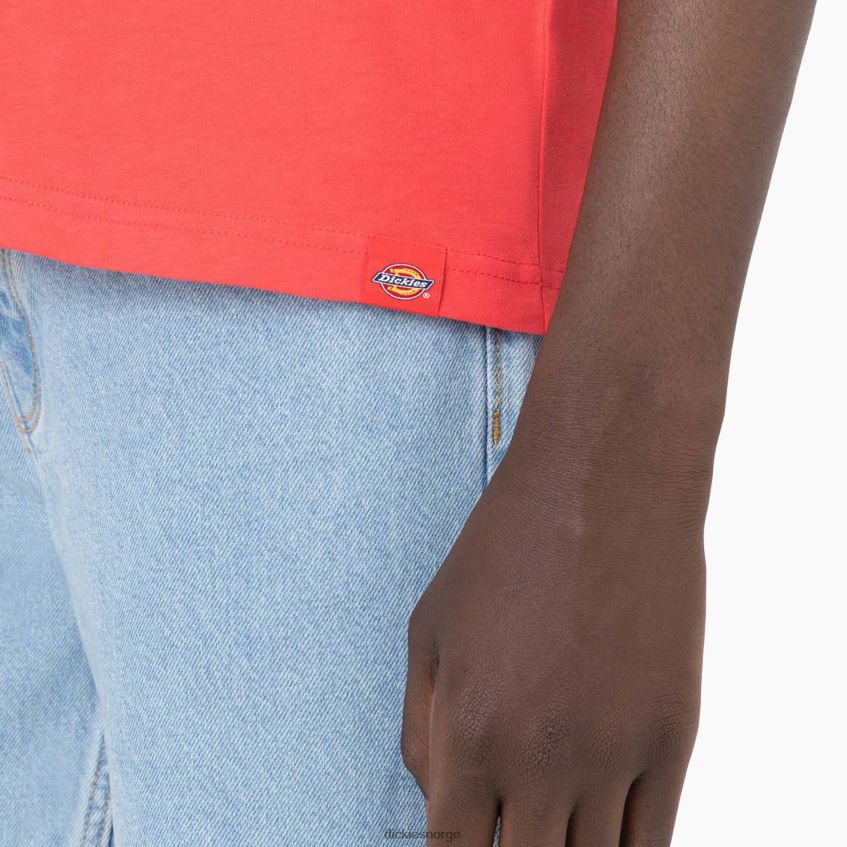 Dickies menn leesburg kortermet t-skjorte 4NB6FR877 klær bittersøt (bw2)