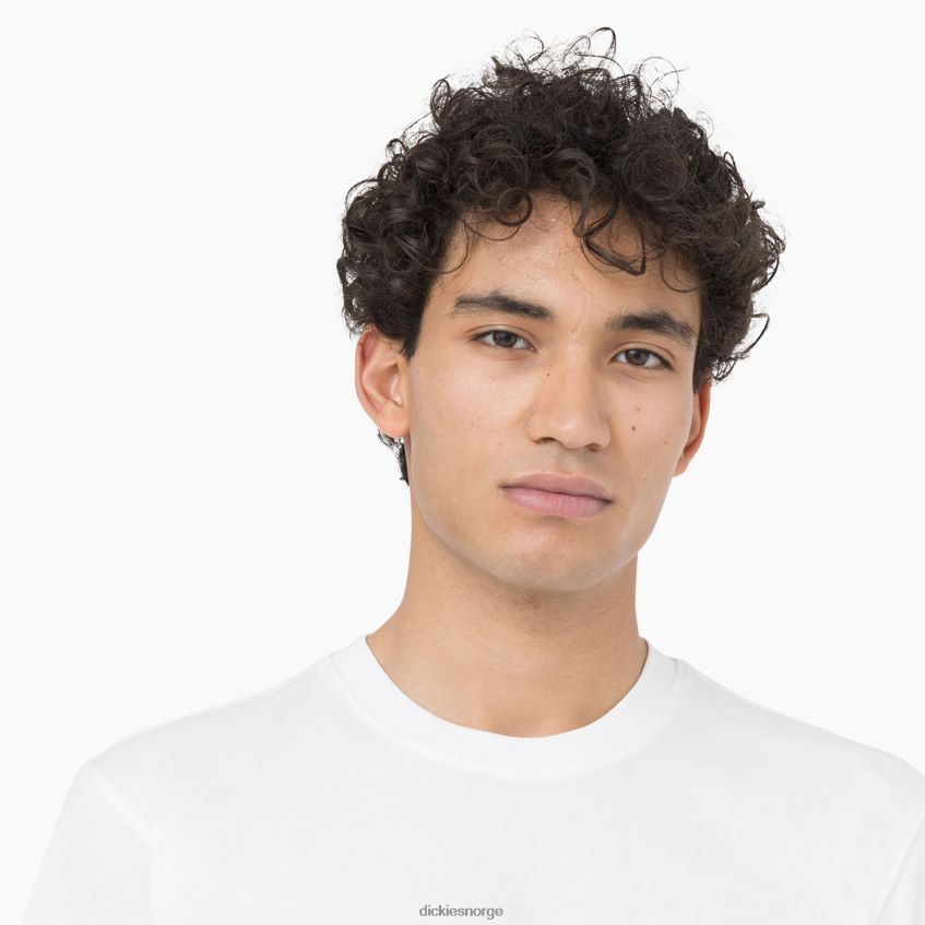 Dickies menn leesburg kortermet t-skjorte 4NB6FR878 klær hvit (wh)