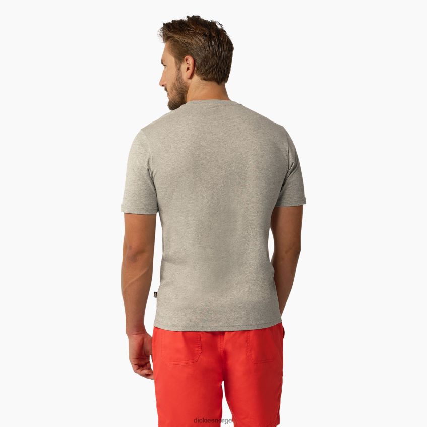 Dickies menn mapleton kortermet t-skjorte 4NB6FR819 klær gråmelert (hg)