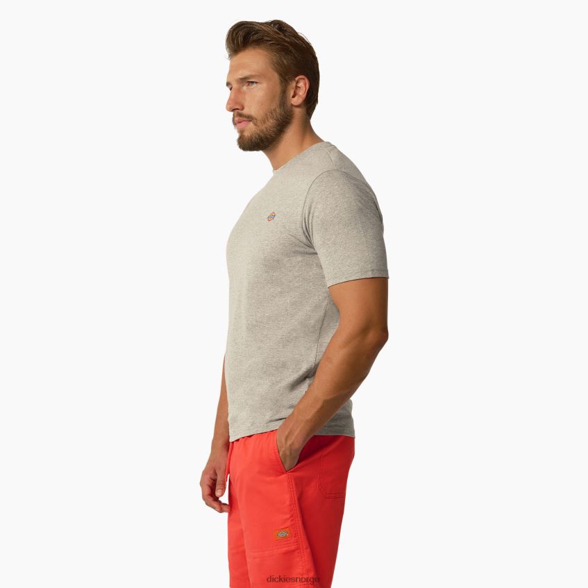 Dickies menn mapleton kortermet t-skjorte 4NB6FR819 klær gråmelert (hg)