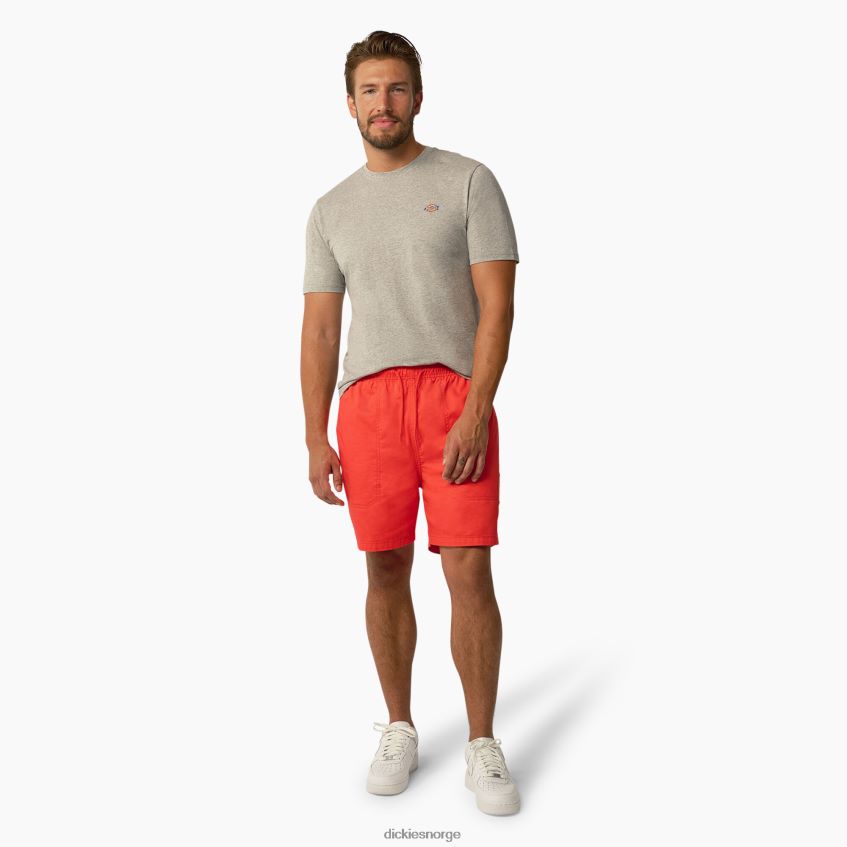 Dickies menn mapleton kortermet t-skjorte 4NB6FR819 klær gråmelert (hg)