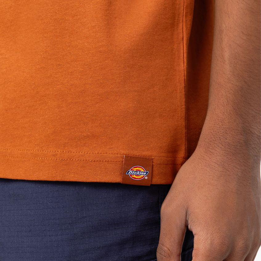 Dickies menn marbury kortermet t-skjorte 4NB6FR801 klær pepperkaker brun (dvs.)