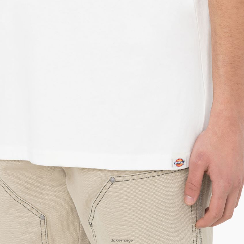 Dickies menn oatfield kortermet t-skjorte 4NB6FR755 klær sky (cl9)