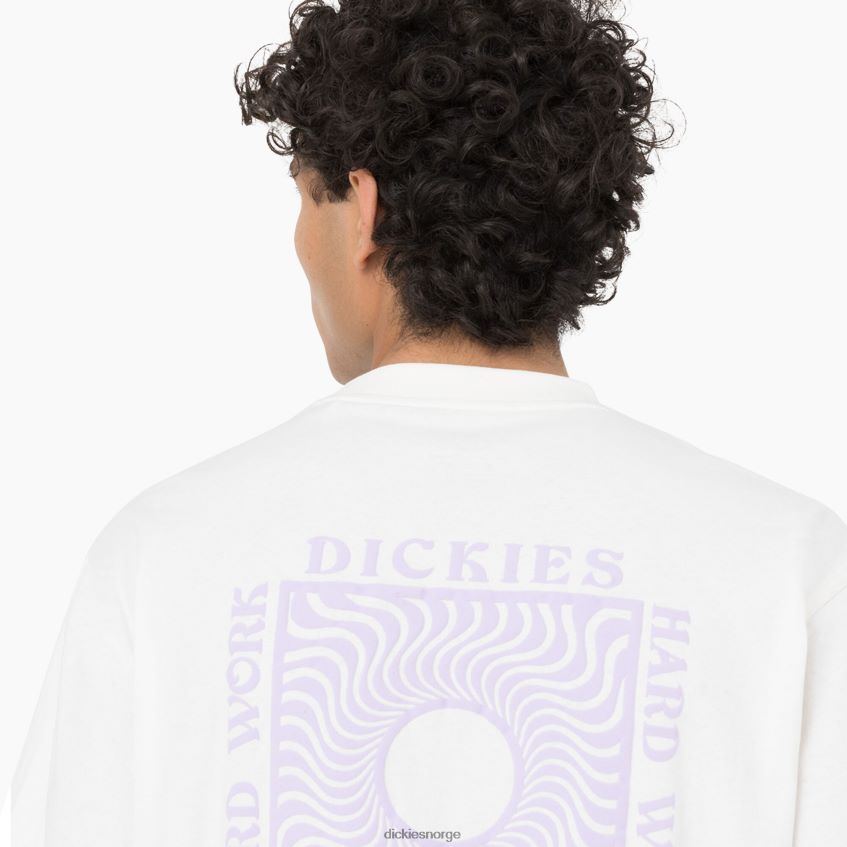 Dickies menn oatfield kortermet t-skjorte 4NB6FR755 klær sky (cl9)