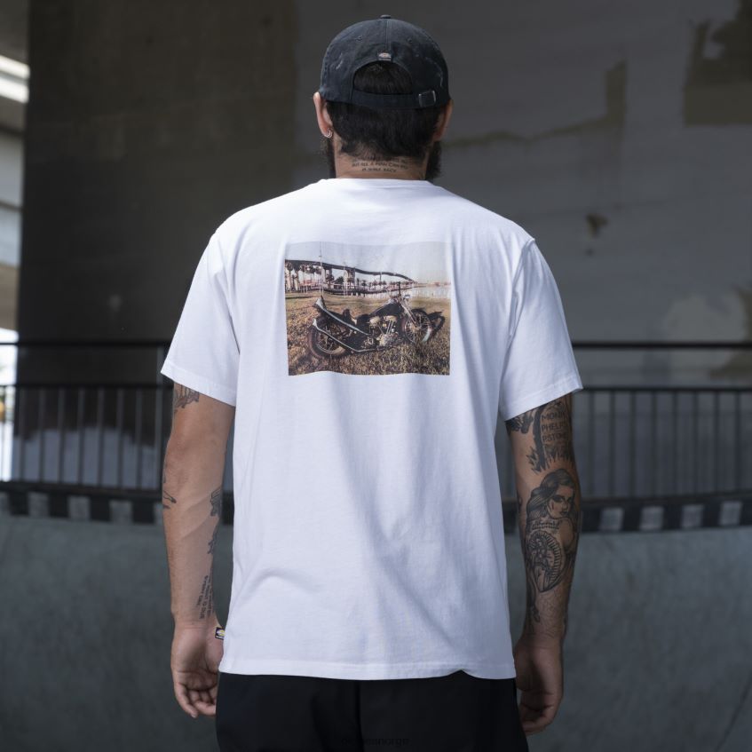 Dickies menn ronnie sandoval foto t-skjorte 4NB6FR794 klær hvit (wh)