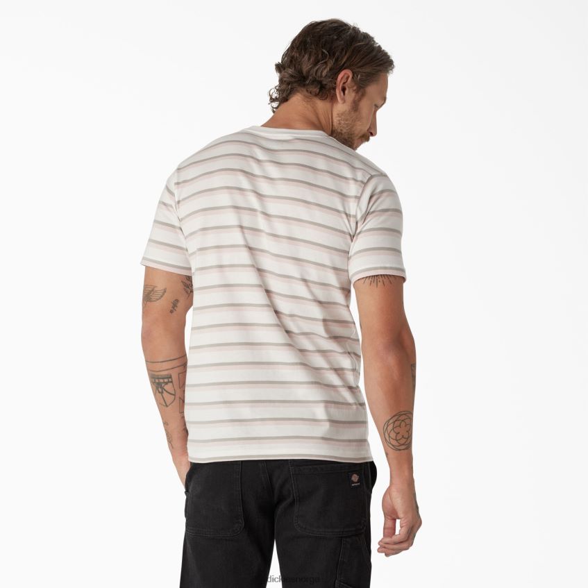Dickies menn skateboard stripet t-skjorte 4NB6FR773 klær lotus rosa/hvit stripe (tse)