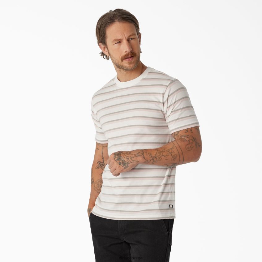 Dickies menn skateboard stripet t-skjorte 4NB6FR773 klær lotus rosa/hvit stripe (tse)