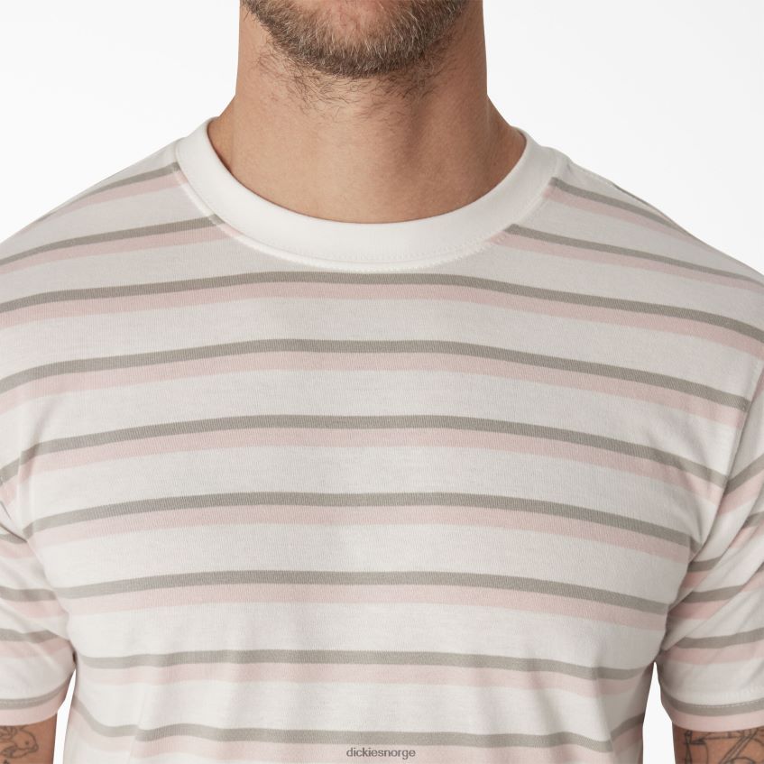 Dickies menn skateboard stripet t-skjorte 4NB6FR773 klær lotus rosa/hvit stripe (tse)