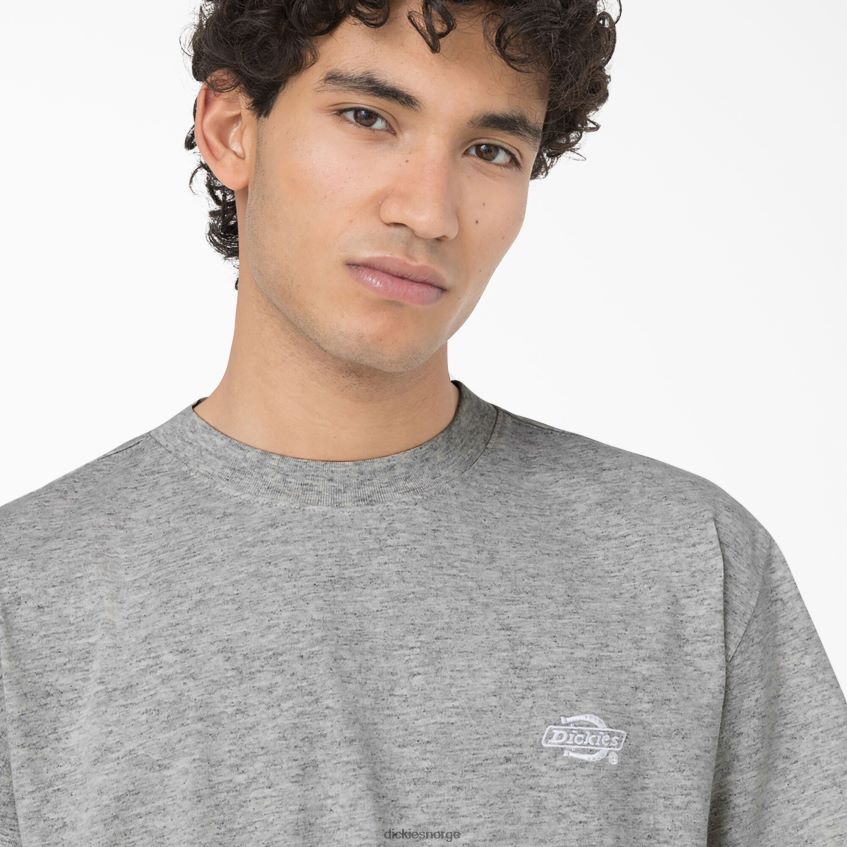 Dickies menn summerdale kortermet t-skjorte 4NB6FR582 klær gråmelert (hg)
