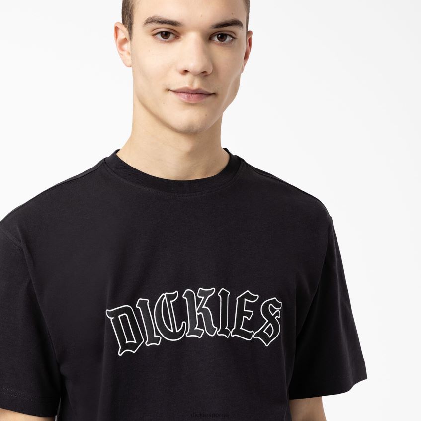 Dickies menn union springs kortermet t-skjorte 4NB6FR797 klær svart (bk)