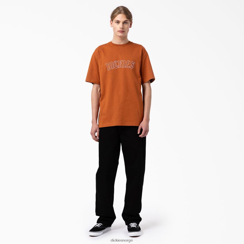 Dickies menn union springs kortermet t-skjorte 4NB6FR798 klær pepperkaker brun (dvs.)