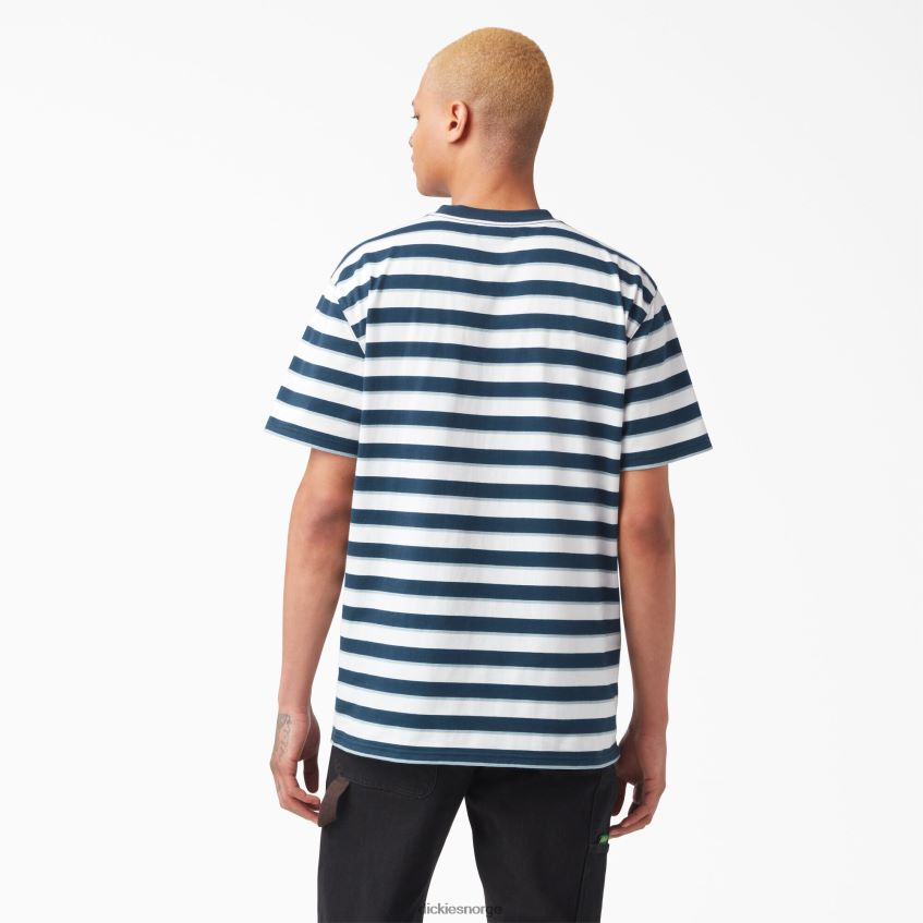 Dickies menn vincent alvarez stripete t-skjorte 4NB6FR954 klær luftvåpen blå stripe (asr)