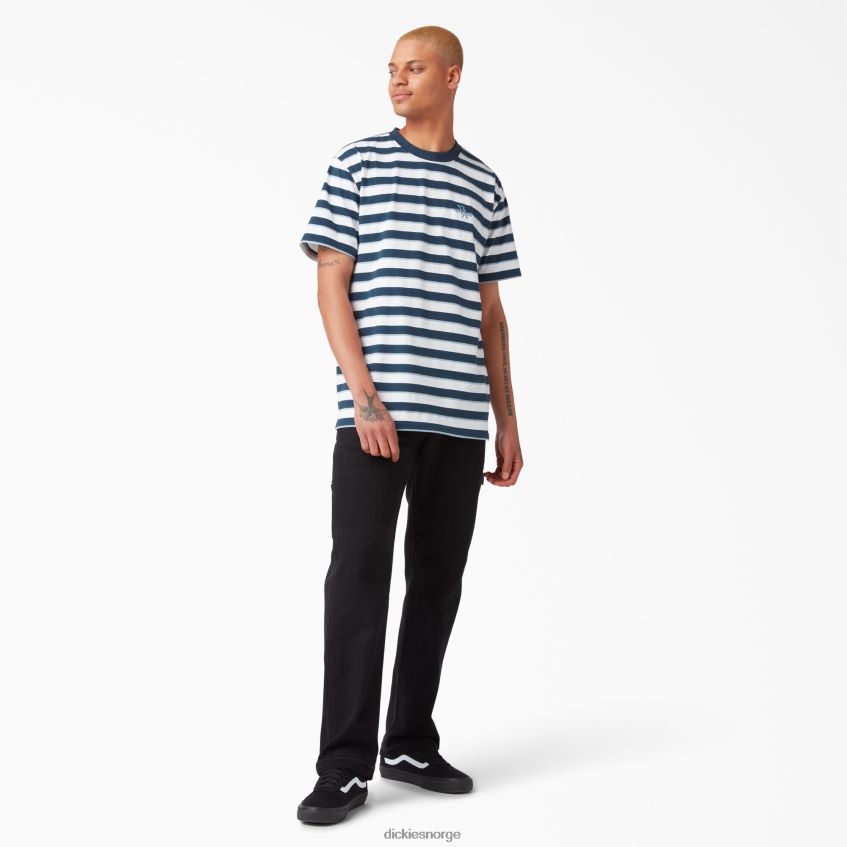 Dickies menn vincent alvarez stripete t-skjorte 4NB6FR954 klær luftvåpen blå stripe (asr)