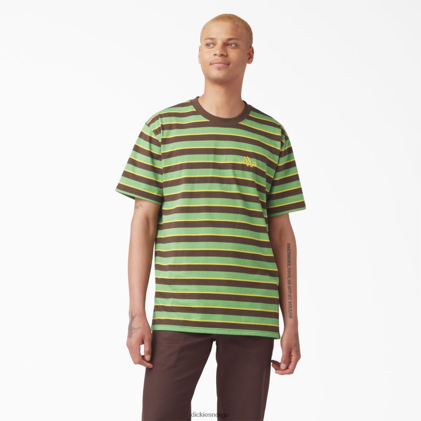 Dickies menn vincent alvarez stripete t-skjorte 4NB6FR955 klær bladgrønn stripe (gsl)