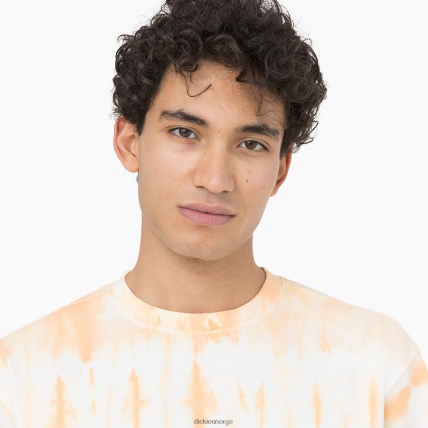 Dickies menn westfir kortermet t-skjorte 4NB6FR589 klær impala (ma2)