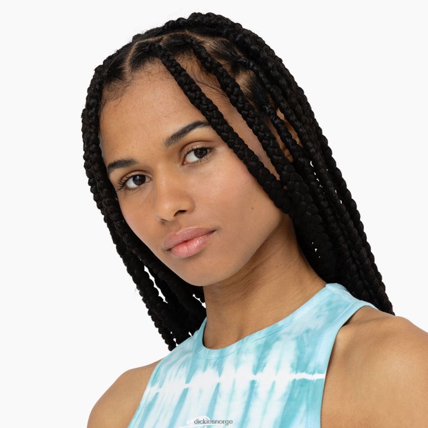 Dickies kvinner westfir tank topp 4NB6FR1995 klær himmelblå (su9)