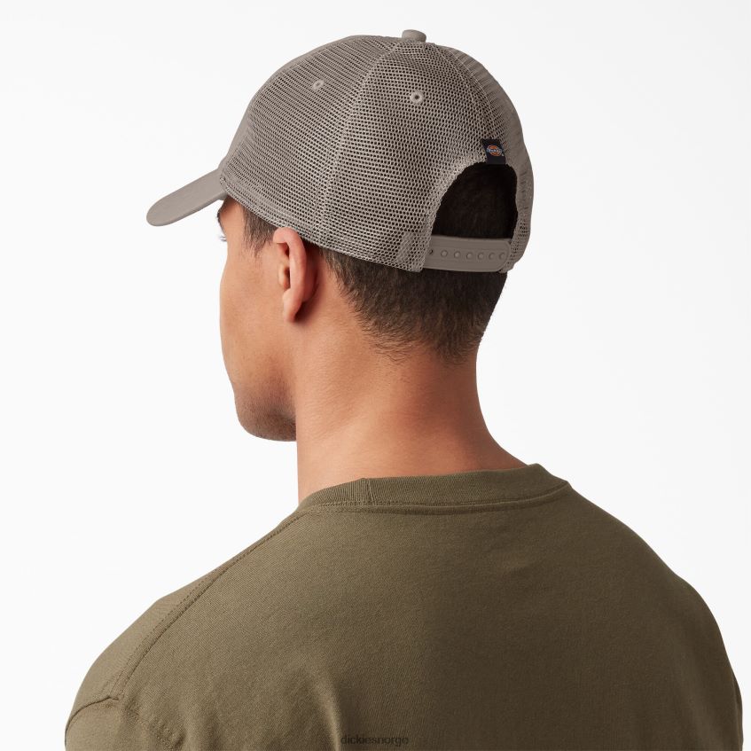 Dickies unisex lerret trucker lue 4NB6FR2856 tilbehør atmosfære (t2m)