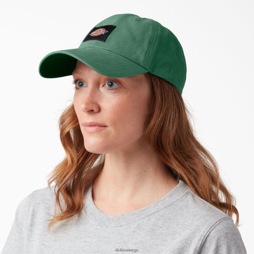 Dickies unisex vasket canvas cap 4NB6FR2884 tilbehør mørk eføy (d2i)