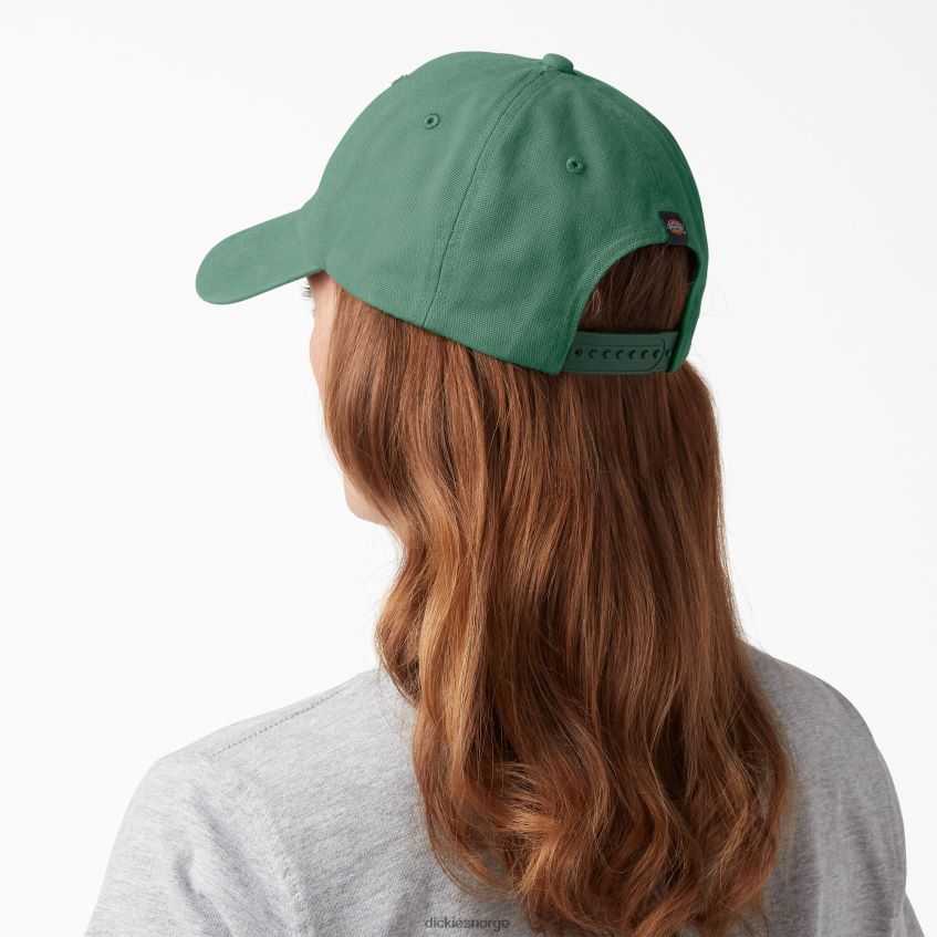 Dickies unisex vasket canvas cap 4NB6FR2884 tilbehør mørk eføy (d2i)